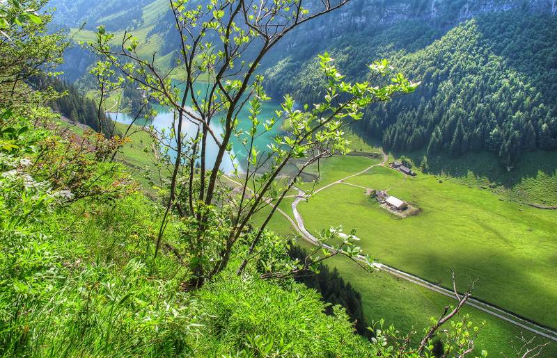 Blick zurück zum Seealpsee