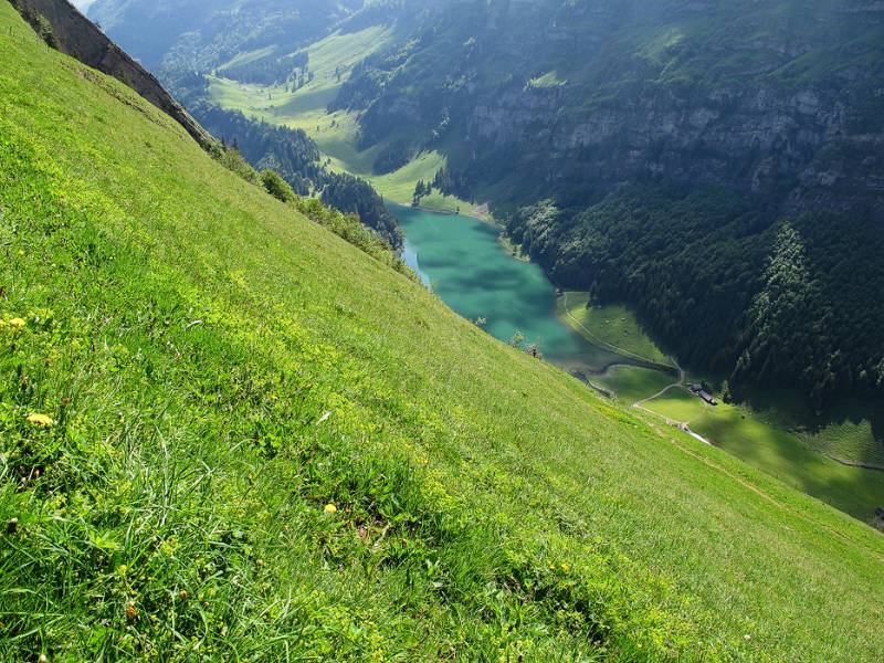 Seealpsee unten und Altenalp ist bereits nicht weit