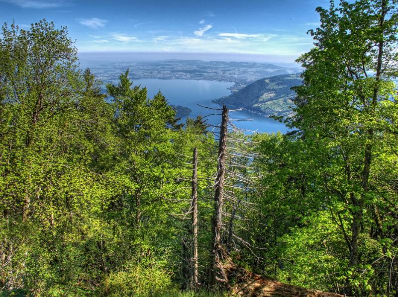 Image Wanderung Rigi Bänderweg