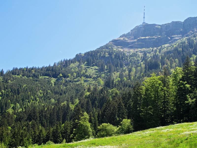 Rigi