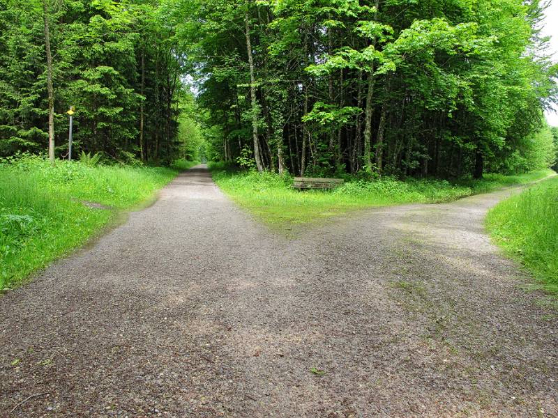 Schöne Waldstrassewanderung