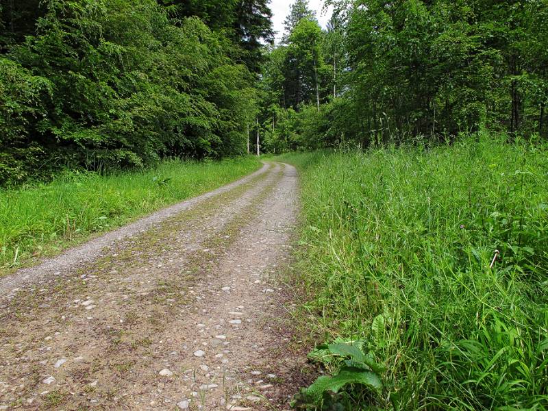 Richtung Gebenstorferhorn