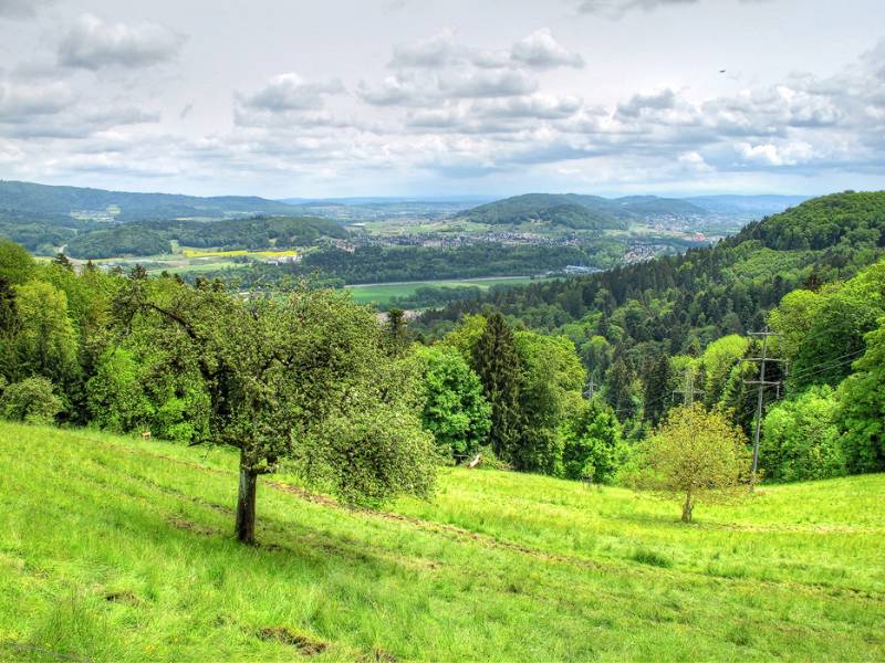 Blick ins Limmattal beim Rüsler