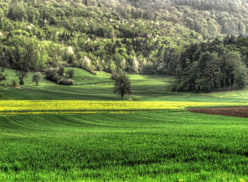 Blick Richtung Lägern von Hueb aus