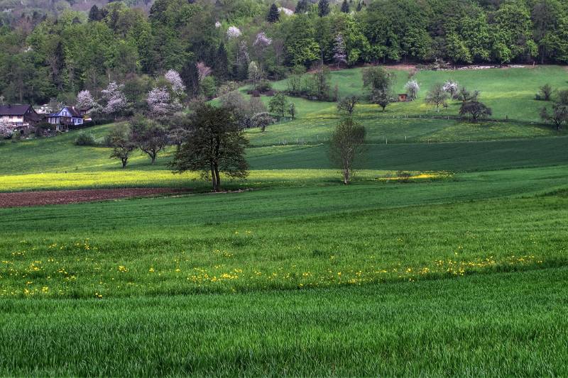 Bei Spitelmatte