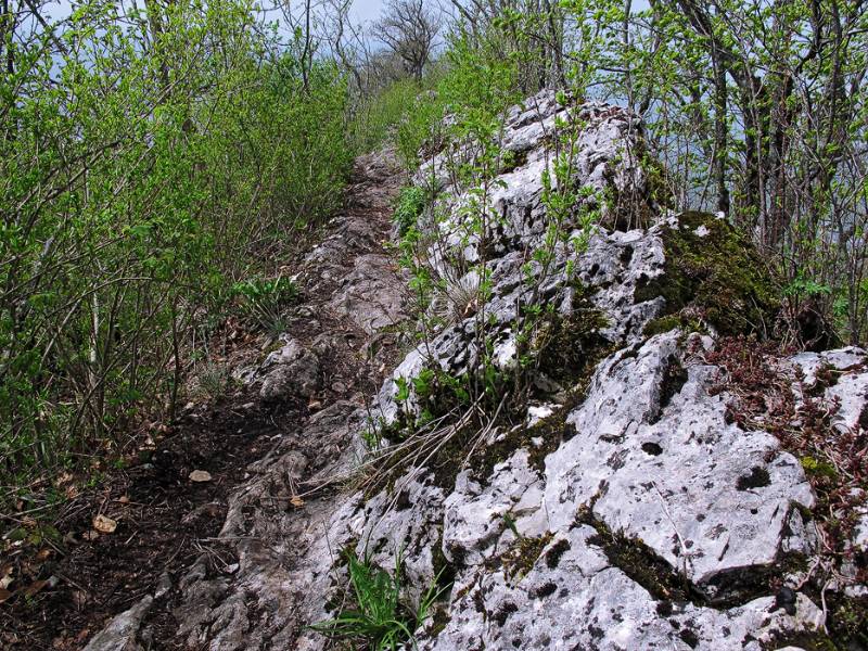 Der Wanderweg auf den Lägern