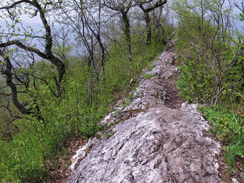 Der Wanderweg auf dem Grat