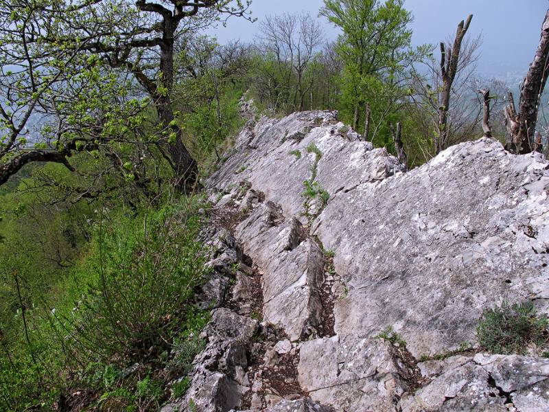 Der Wanderweg auf dem Grat