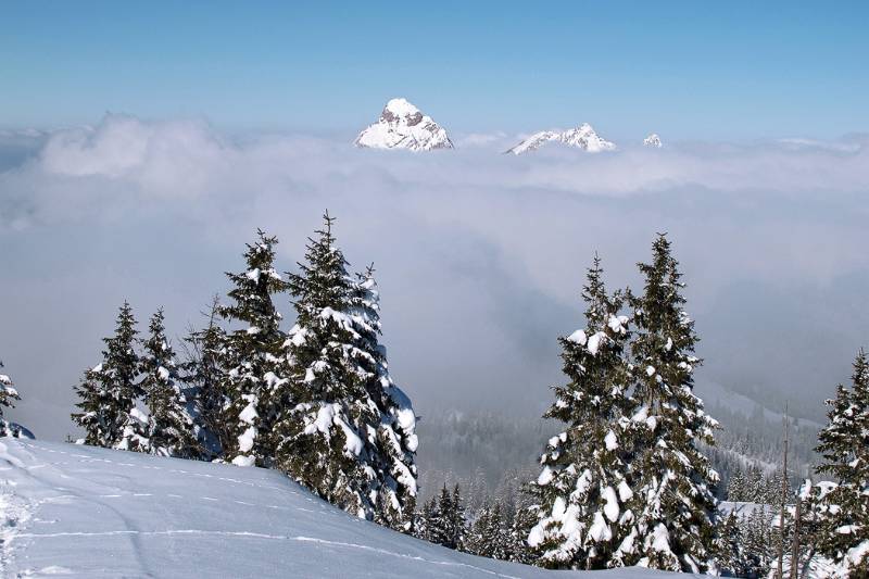 Die Spitze von Gr. Mythen über dem Nebel