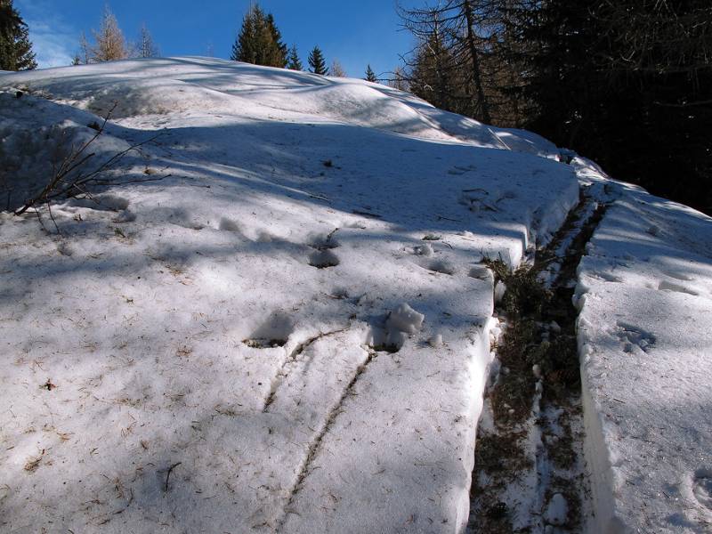 Der Wind hat viele Fichtennadeln und kleine Äste in die Spuren