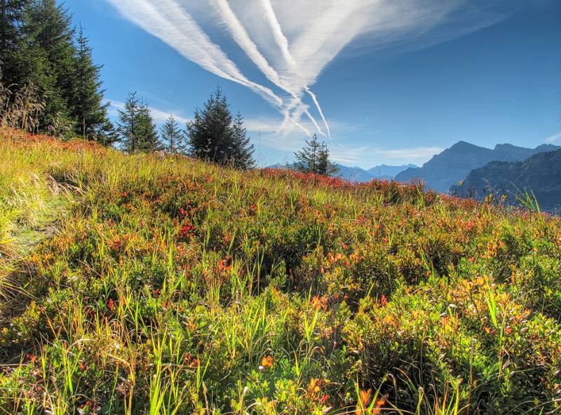 Die ersten Herbstfarben auf dem Brüggler