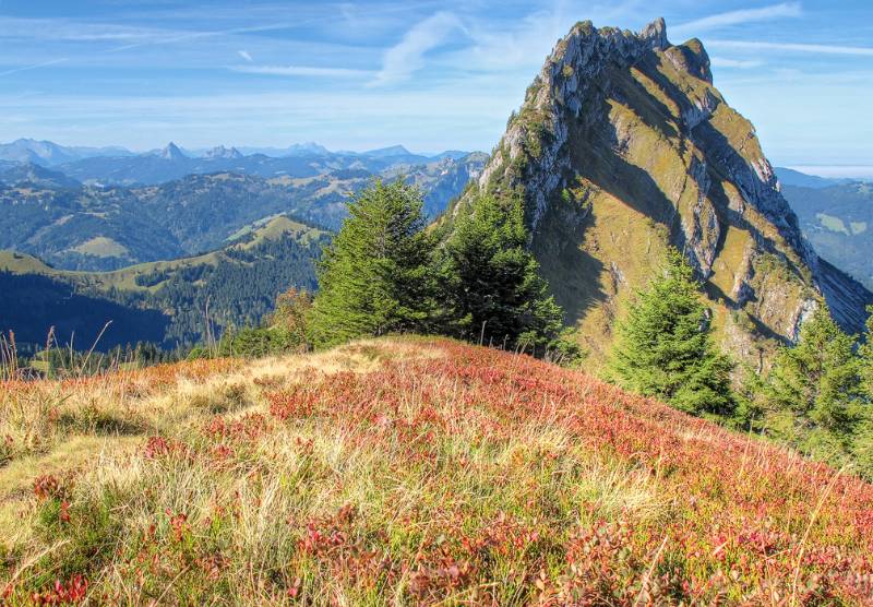 Abstieg vom Brüggler, zuerst Richtung Chöpfenberg