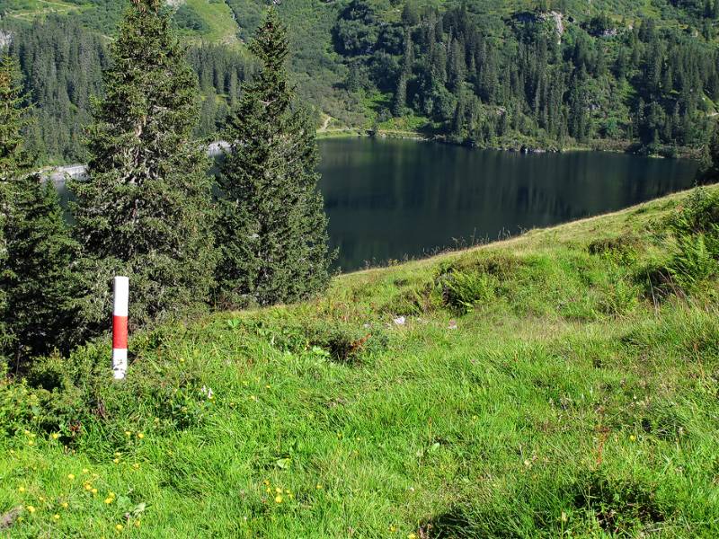 Fast zurück am Startpunkt beim See