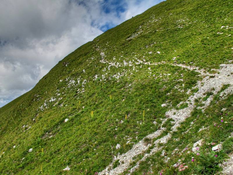 Die Querung auf der S-Flanke zum SW-Grat von Gantrisch