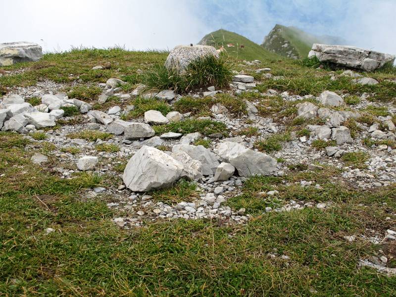 Bescheidene Markierung des Gipfels von Bürgle