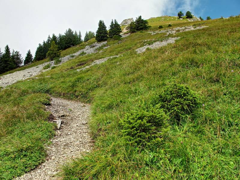 Oberhalb von Waldgrenze mit Blick auf Vorgipfel von Kl. Mythen