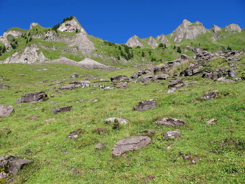 Entlang diesem Hang geht es hinauf