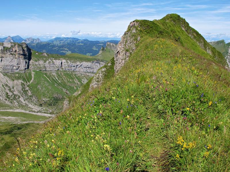 Der Gipfel von Lauiberg ist in Sicht. Es geht weiter auf