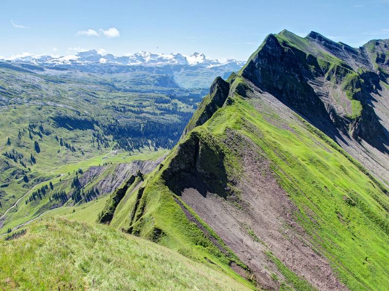 Blick Richtung Mandli und Mieserenstock