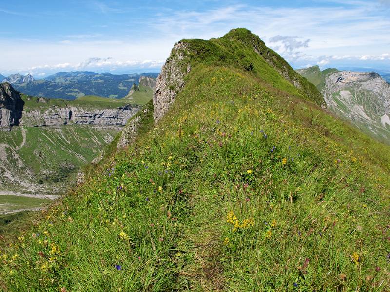 Der S-Grat von Lauiberg