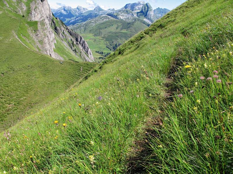 Schöner Wanderweg über Grasshänge