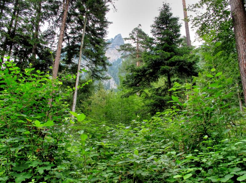 Erster Blick auf Rote Platte