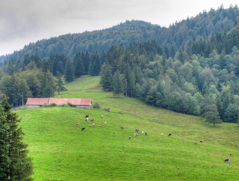 Der höchste Punkt des Oberdörferbergs in Sicht