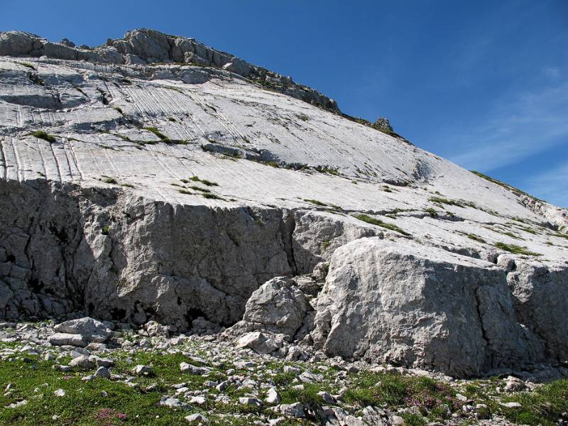 Ob es jemand eine Schicht von Felsen auf das Grass gelegt