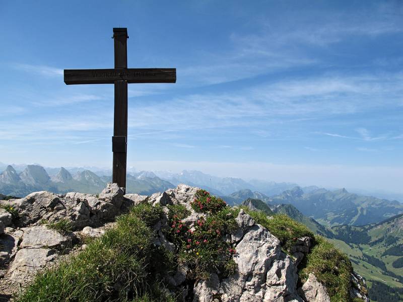 Rote Alpenrosen auf dem Gipfel von Silberplatten