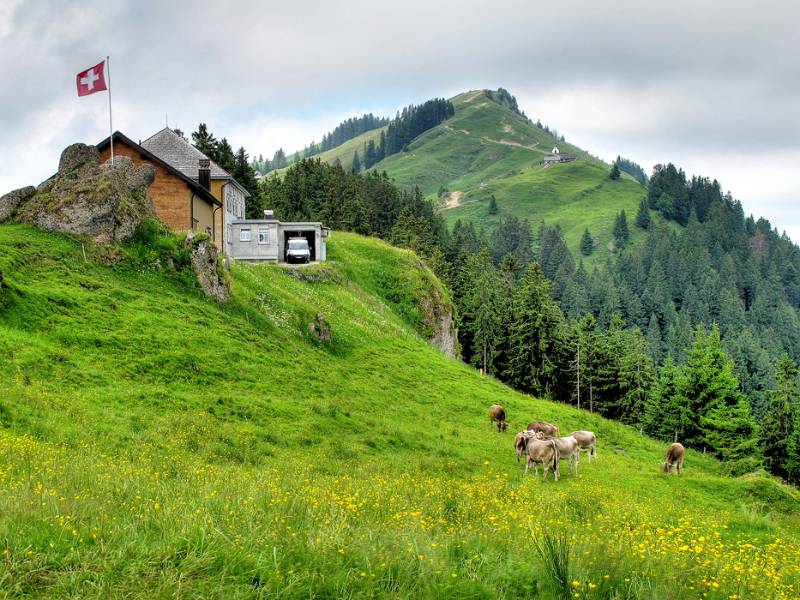 Image Wanderung Kronberg