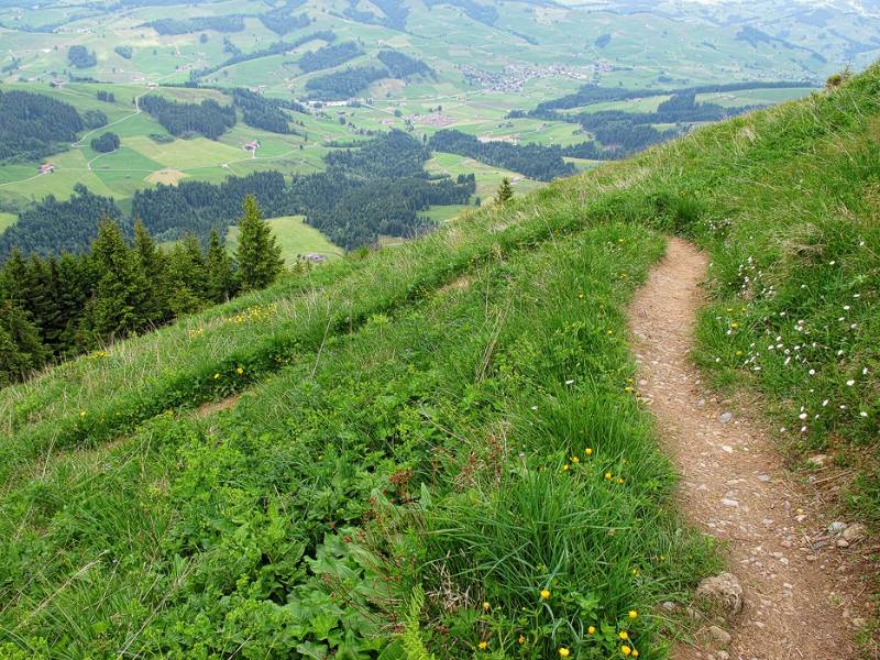 Schöner Wanderweg auf dem Nordhang von Kronberg