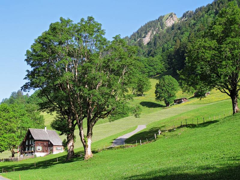 Zuerst gemütlich auf der Strasse