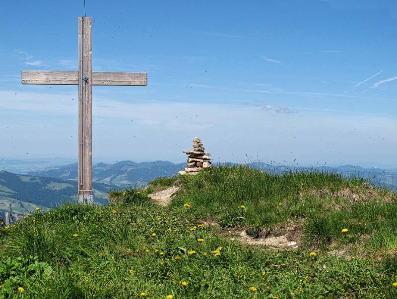 Auf dem Stockberg mit viel Bienen in der Luft