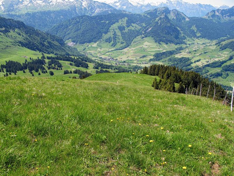 Stein ganz unten ohne Zoom. Es steht langer Weg nach unten