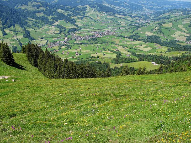 Toggenburg zum Abschied