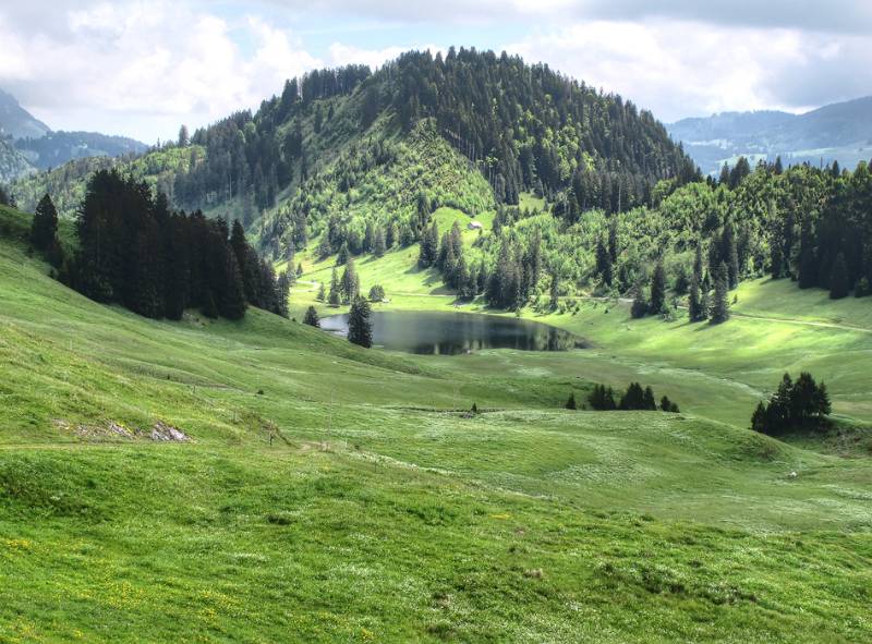 Gräppelensee.