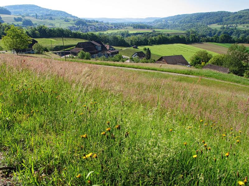 Schöne Landschaft am Morgen