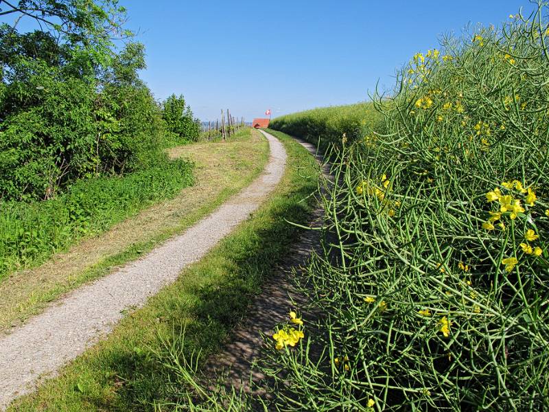 Richtung Buchberg