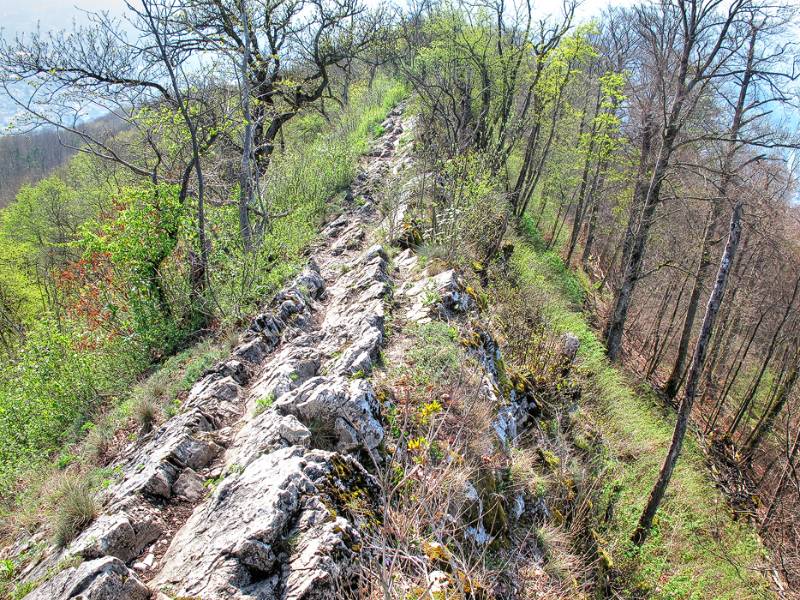 140406-Wanderung-Laegern_3658