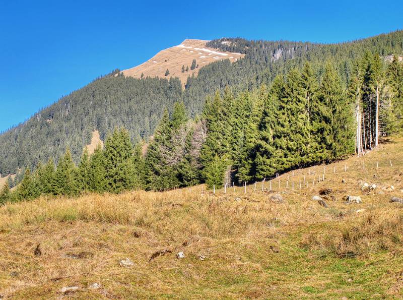 Start in Sörenberg. Das Gipfelkreuz von Haglere ist bereits zu sehen