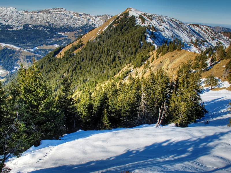 Haglere von Nünalpstock aus