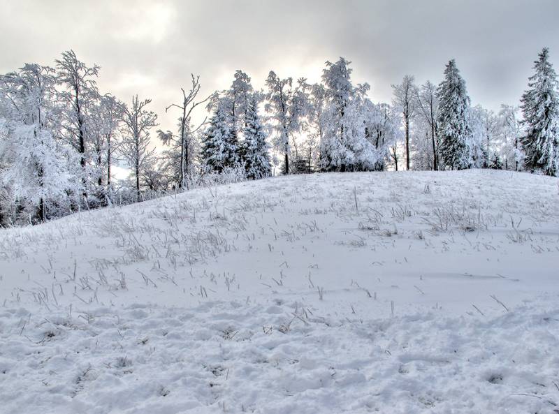 5 oder 10cm Neuschnee auf dem Grenchenberg