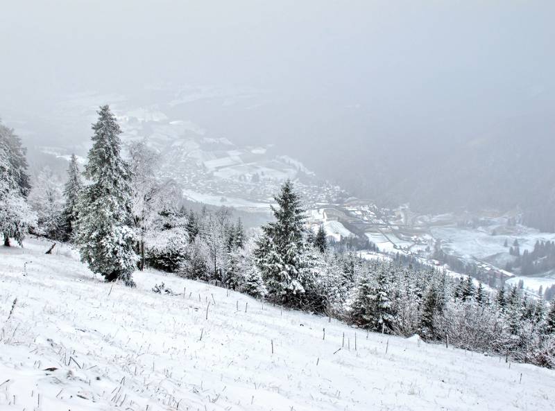 Unten ist Court im Nebel