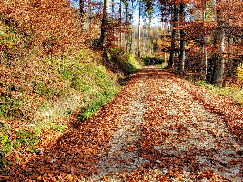 Herbst auf den Lägern