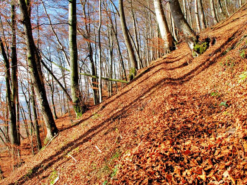 Schöner Wanderweg Richtung Grat von Lägern