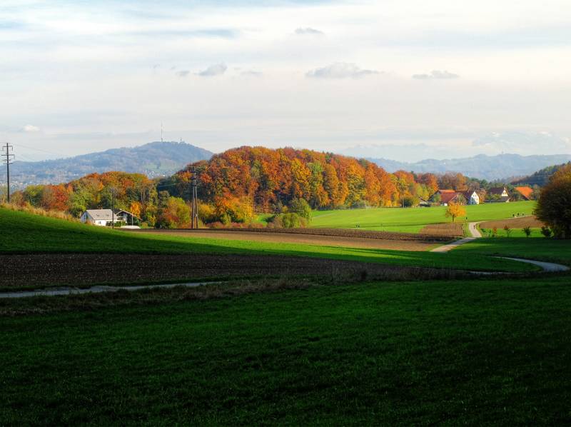 Farbiger Herbst mit Ütliberg im hintergrund