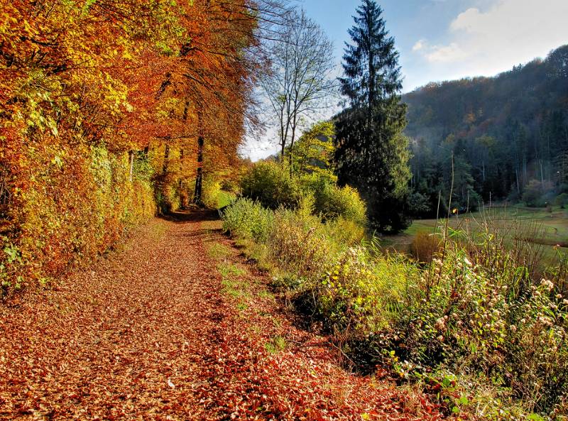 Schöner Herbsttag