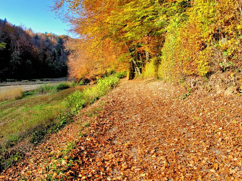 151025-Wanderung-Egelsee_6043_4_5