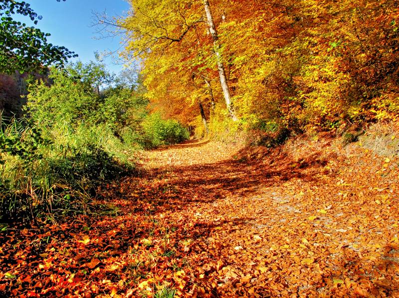 151025-Wanderung-Egelsee_6055_6_7