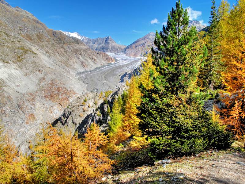 Aletschgletscher